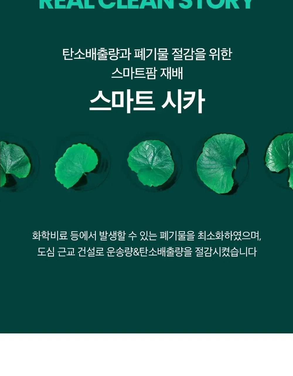 [트러블케어/스팟진정] 비플레인 시카테롤 스팟 트리트먼트 15ml 상세페이지 16